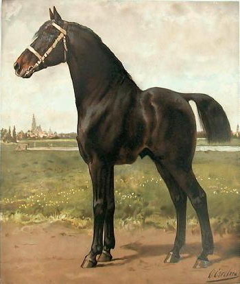 The Smart Horse